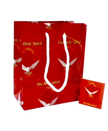 Confirmation Holy Spirit 10x3" Gift Bag Religious Art 11-8020