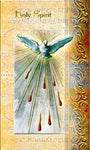 Holy Spirit Bi-Fold Prayer Card - PACK OF TEN Confirmation Hirten F5-651