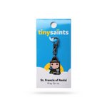 Tiny Saints - St. Francis of Assisi - Patron of Animals, Pets, Pet Owners, The Poor