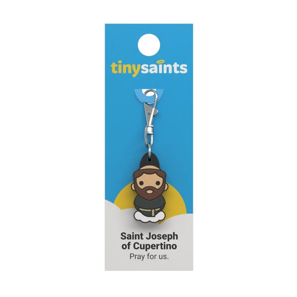 Tiny Saints - St. Joseph of Cupertino - Patron of Those with Learning Disabilities